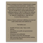 California Human Trafficking English Version Notice